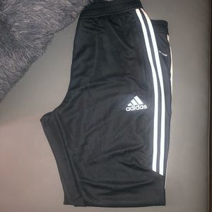Gray Adidas Training Pants